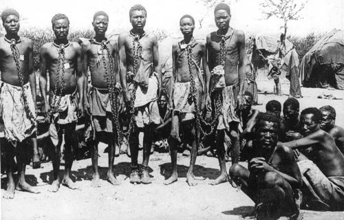Kriegsgefangene Herero in Ketten