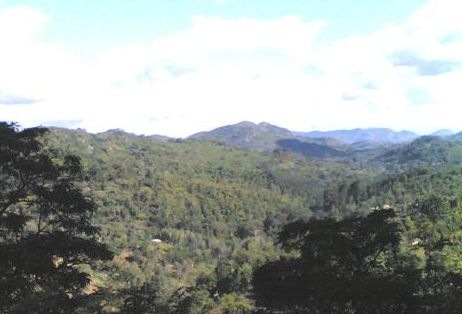 Usambaraberge